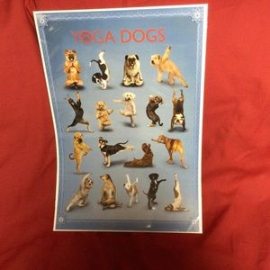 Poster YOGA DOGS